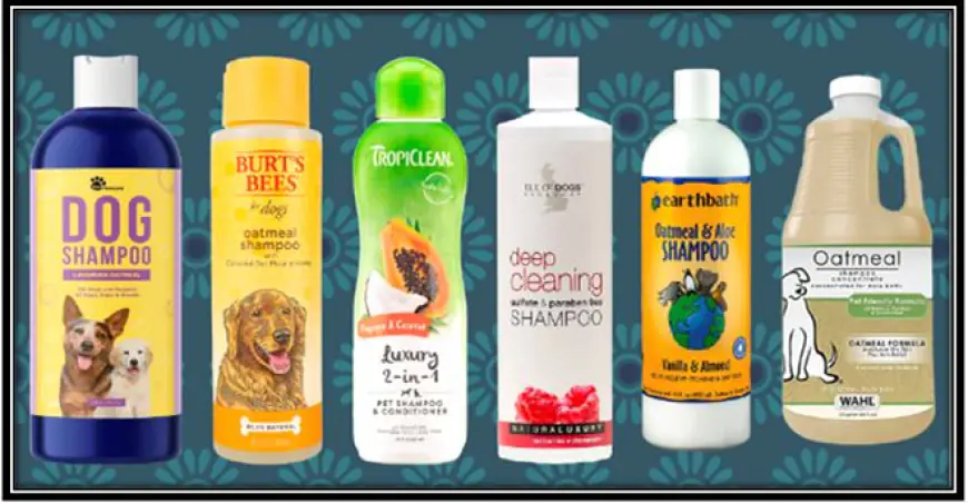 What are the best shampoo brands for a Labrador's sensitive skin?