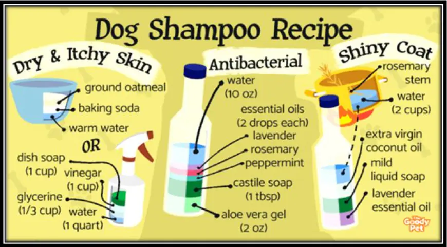 Are there any natural homemade shampoo recipes for Labradors?