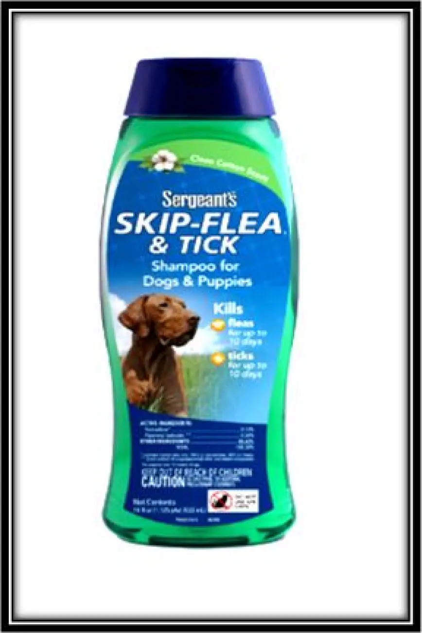Can I use flea and tick shampoo on my Labrador year-round?