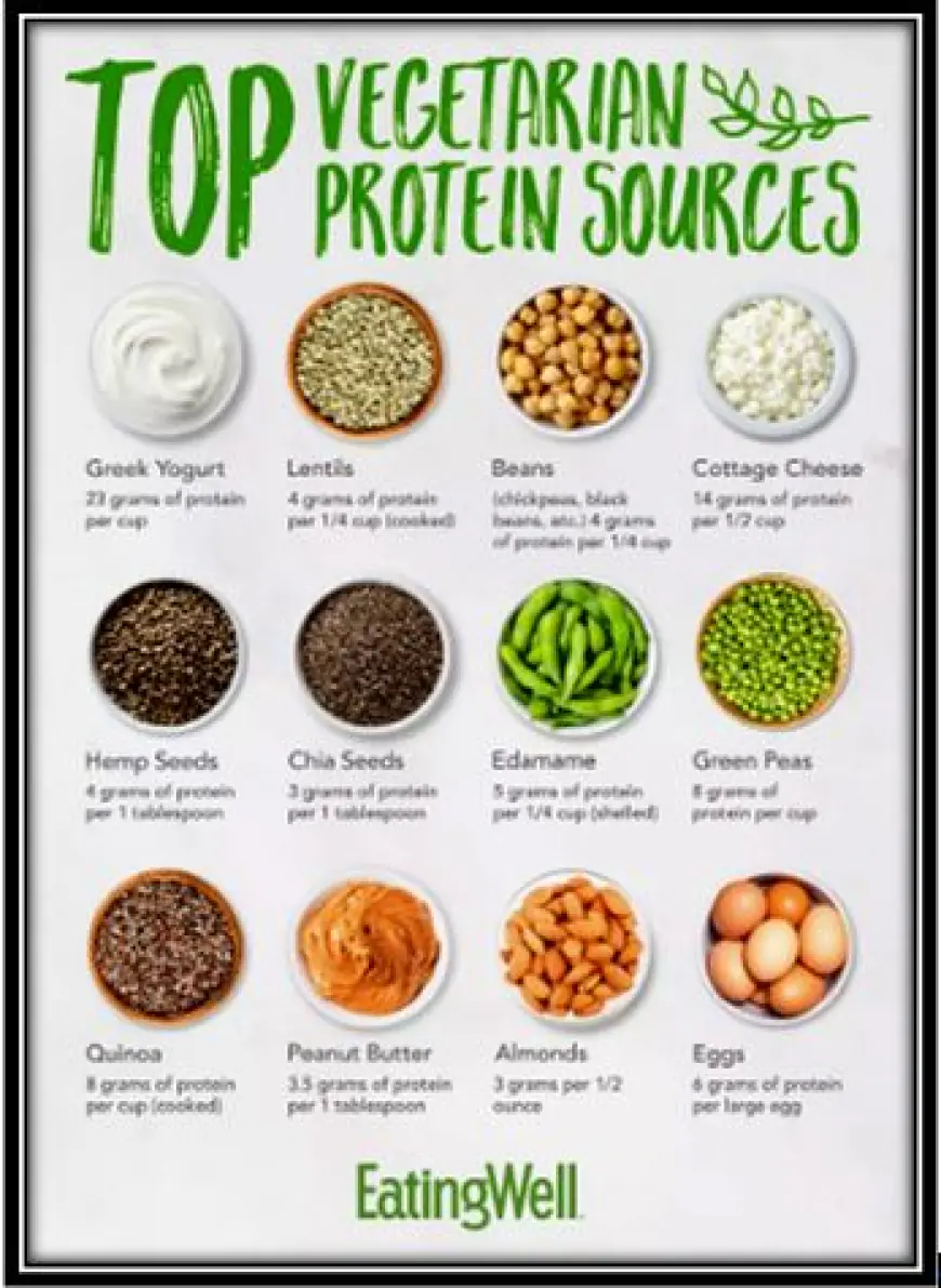 What are the best sources of plant-based protein?