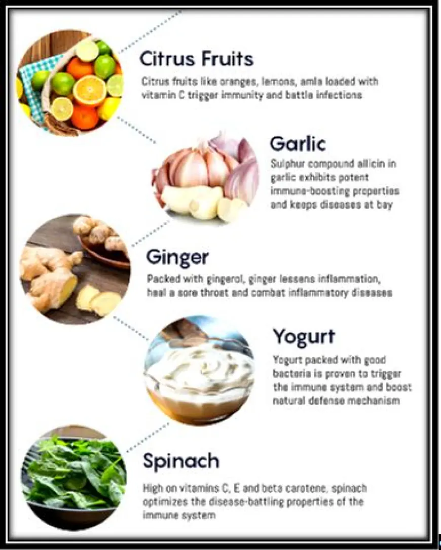 What are the top 5 foods for boosting your immune system?