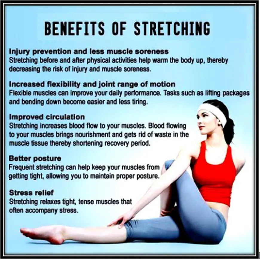 What are the benefits of stretching before and after a workout?