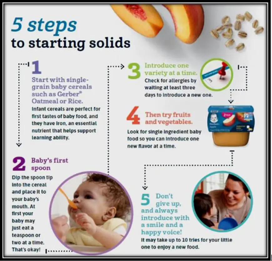 When Is It Safe to Introduce Solid Foods to Your Baby?