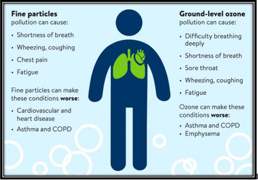 How does air pollution affect human health?