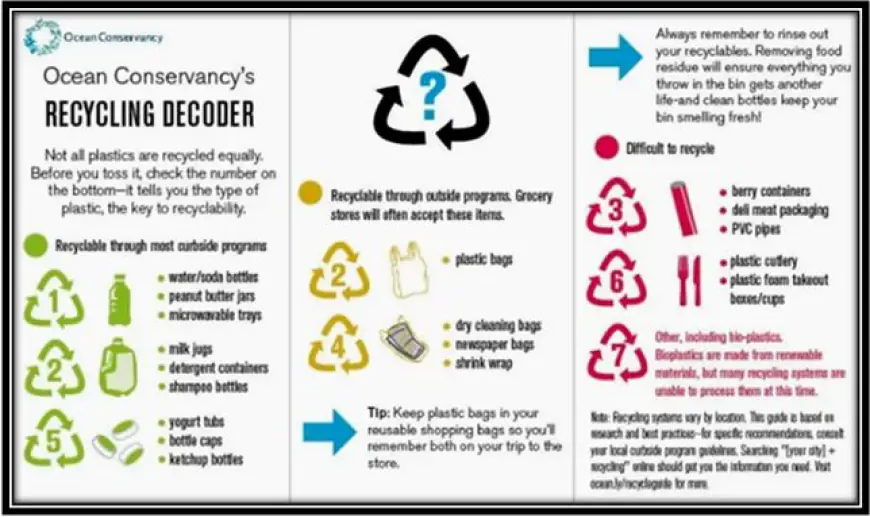 What are the best practices for recycling at home and in the workplace?