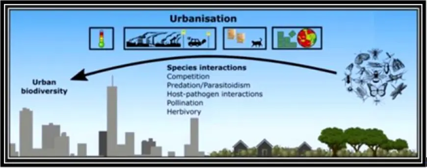 How does urbanization contribute to habitat loss?