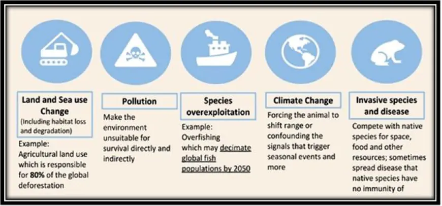 What are the impacts of climate change on biodiversity?
