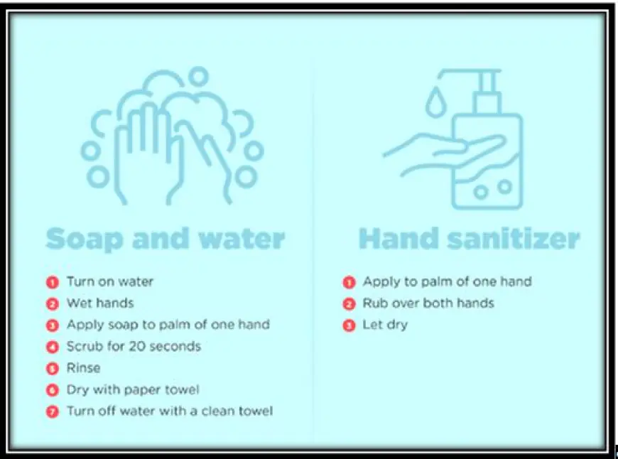 How Does Proper Hand Hygiene Help Prevent Illness?