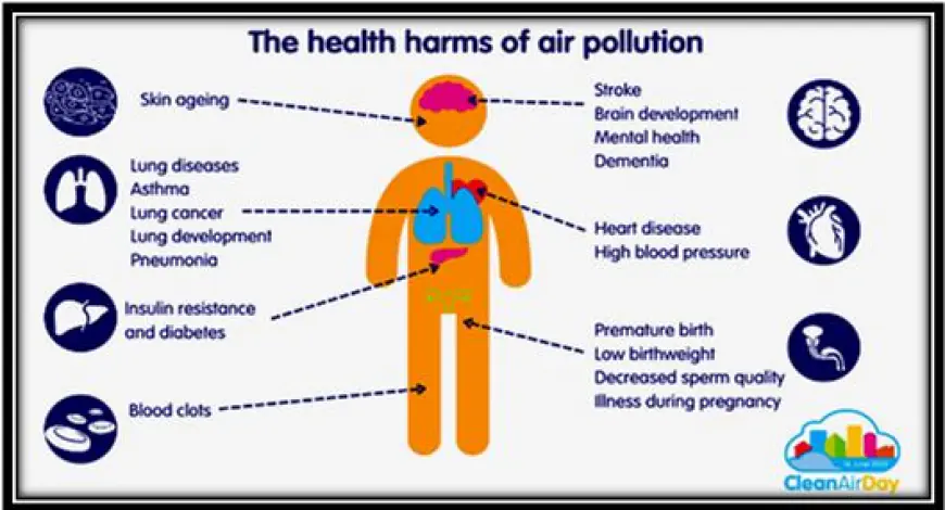 What Should We Know About Air Quality and Its Impact on Our Health?
