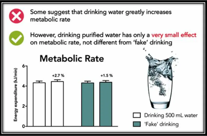 What Impact Do Cold Drinks Have on Metabolism?