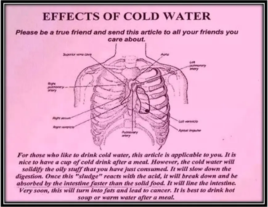 What Are the Effects of Cold Drinks on Our Body's Internal Temperature?