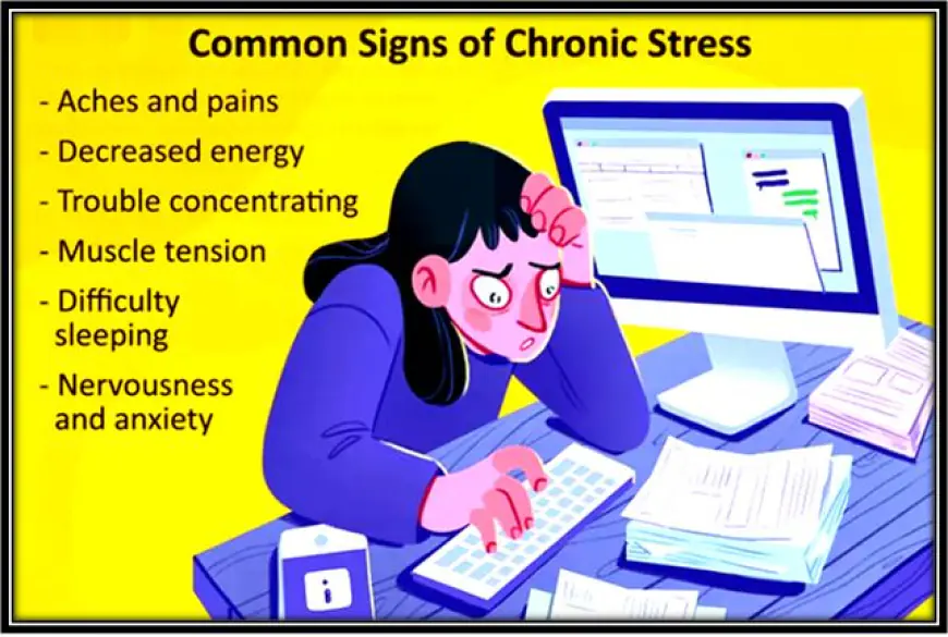 Can Chronic Stress Be a Root Cause for Some Illnesses?