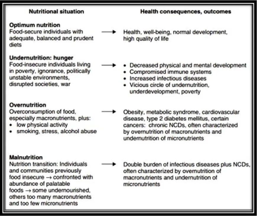 Is There a Link Between Nutrition and the Emergence of Health Conditions?