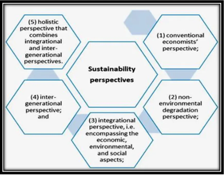 What Are the Best Strategies to Foster Environmental Responsibility in Schools?
