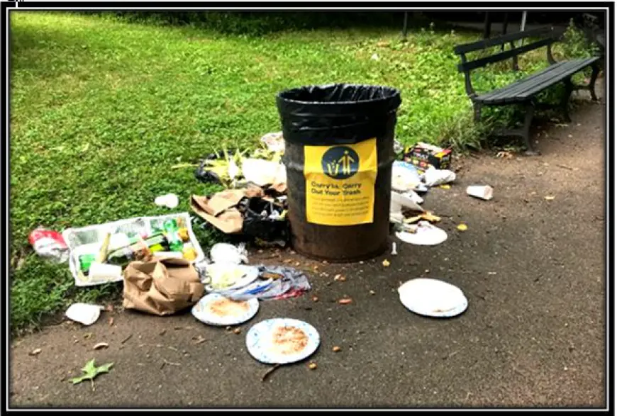 Can Installing More Public Trash Bins Decrease the Spread of Urban Litter?