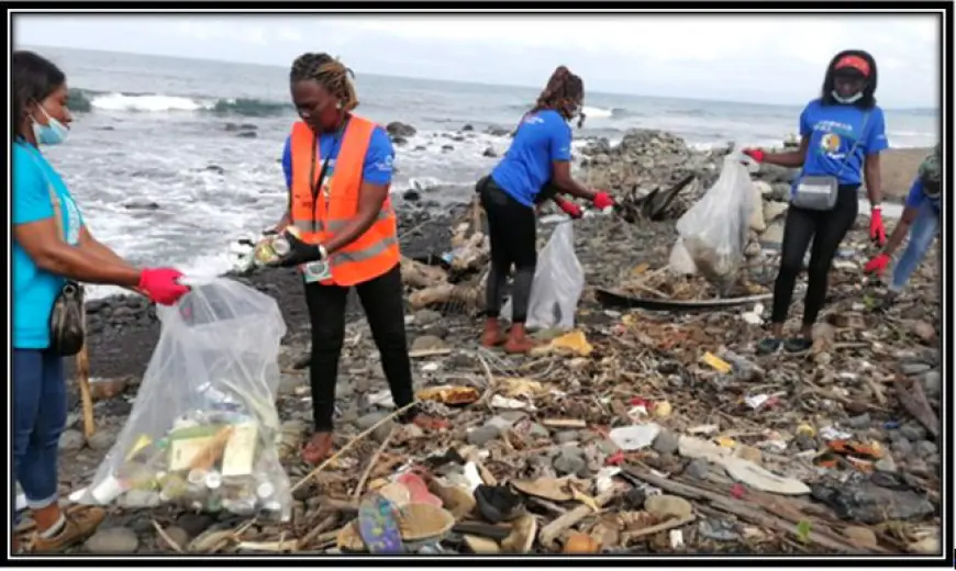 How Do Beach Clean-Ups and Ocean Conservation Efforts Combat Marine Pollution?