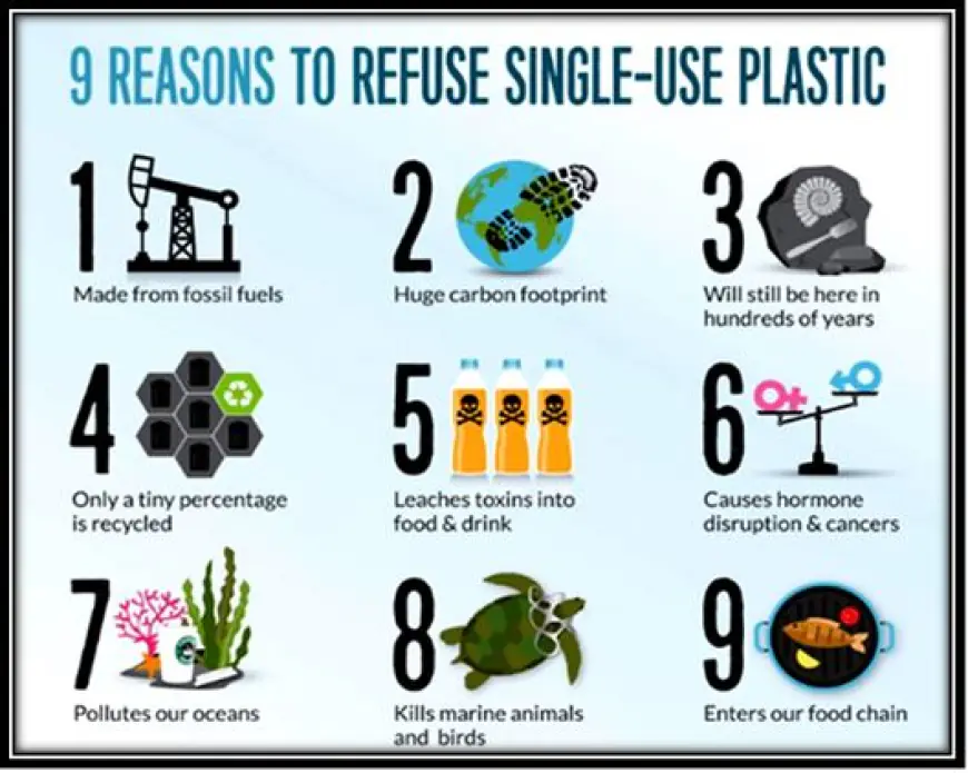 What Impact Does Reducing Single-Use Plastics Have on Our Environment and Consciousness?