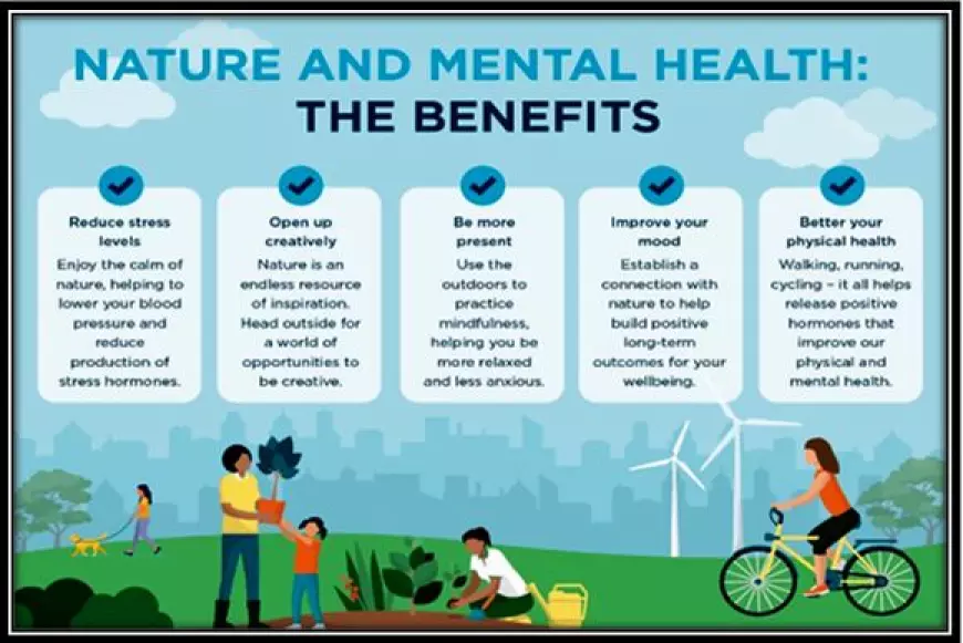 How Can Getting in Touch with Nature Benefit Our Mental and Physical Health?