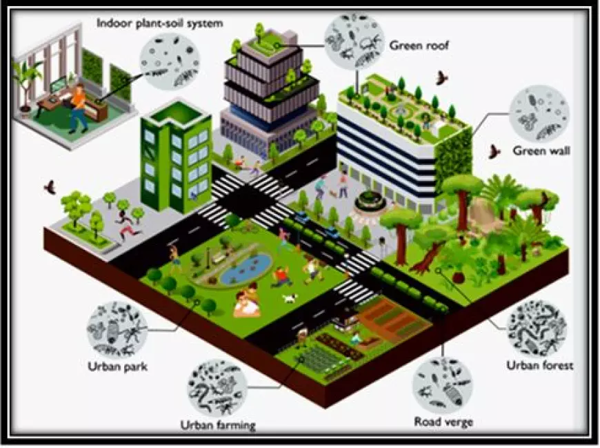 How can we promote biodiversity in urban areas to improve the human environment?