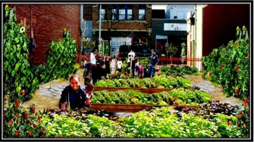 What are the benefits of community gardens in urban environments?