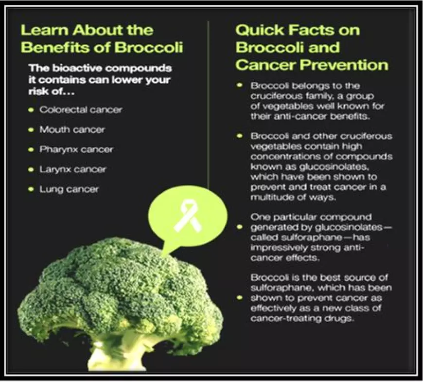 How Do Cruciferous Vegetables Help in Cancer Prevention?