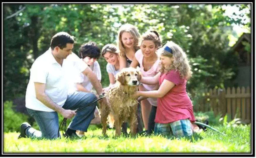 How to Choose the Perfect Family Dog for Your Home Environment?